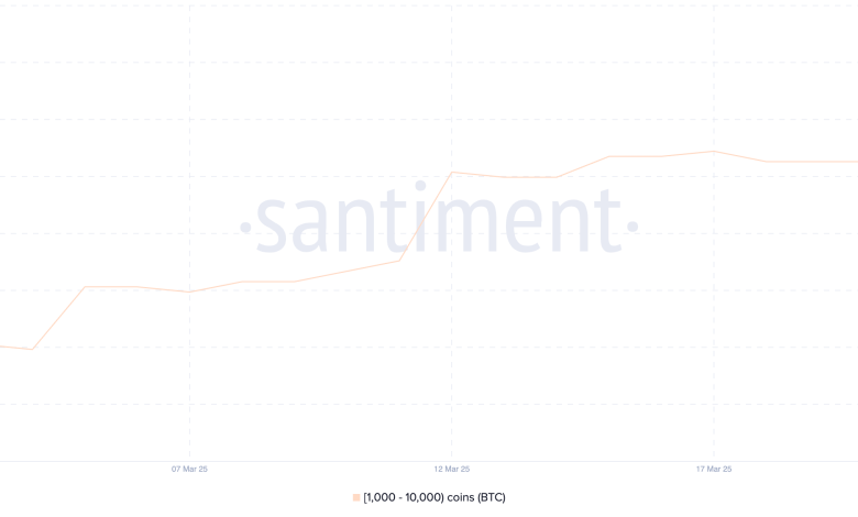 Bitcoin (BTC) vise une cassure vers 100 000 $ alors que l'accumulation des baleines augmente.