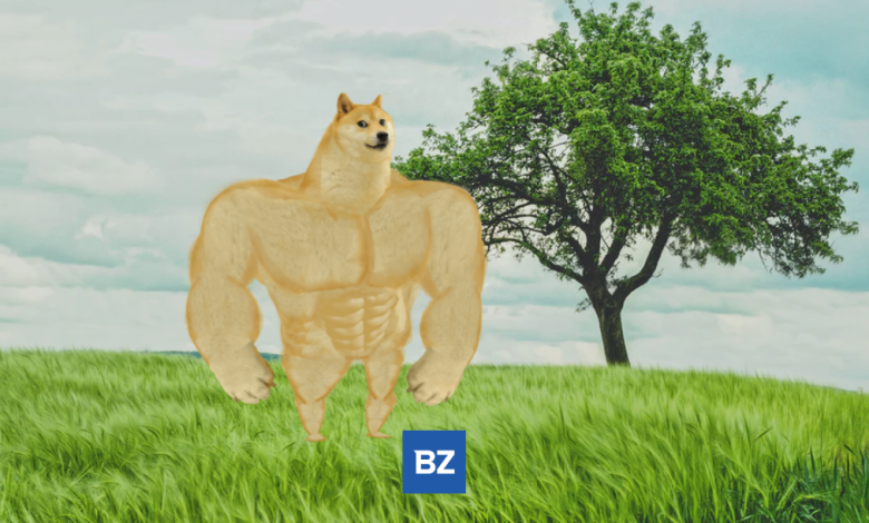 Le Dogecoin augmente de plus de 5 % en 24 heures.