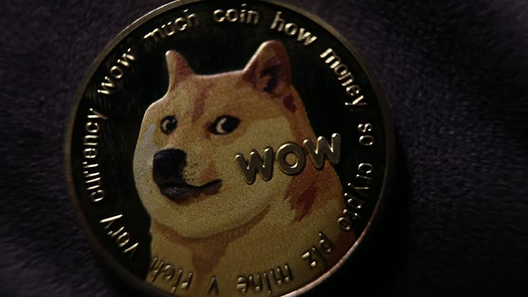 Rebond du prix de Dogecoin à 14 $ : Pourquoi un rallye dépend de ce niveau de support