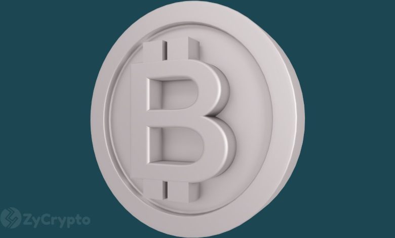 Comment les tarifs américains affecteront-ils le prix du Bitcoin ? Les experts prévoient de lourdes pertes en crypto ⋆ ZyCrypto