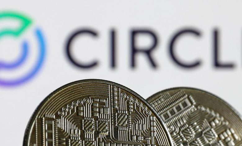 L'IPO de Circle confirme 2025 comme l'année des stablecoins.