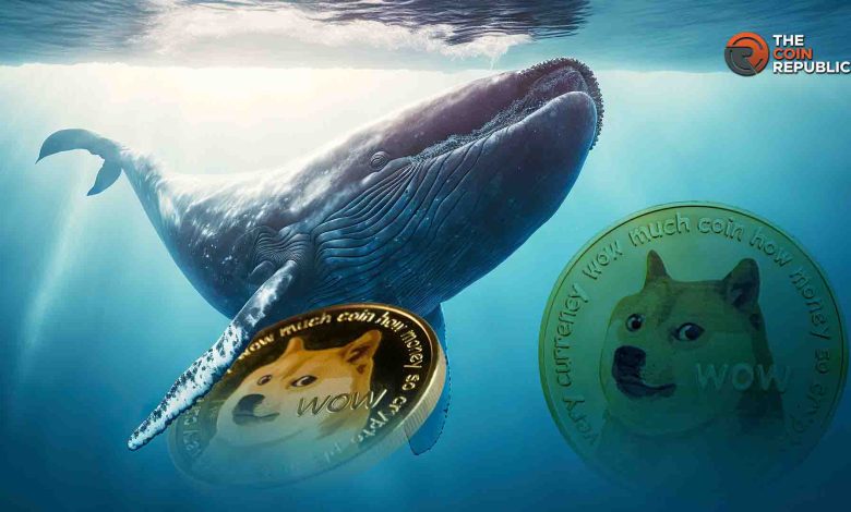 Les baleines de Dogecoin accumulent 220M : objectifs de prix de DOGE à 0,6533 $