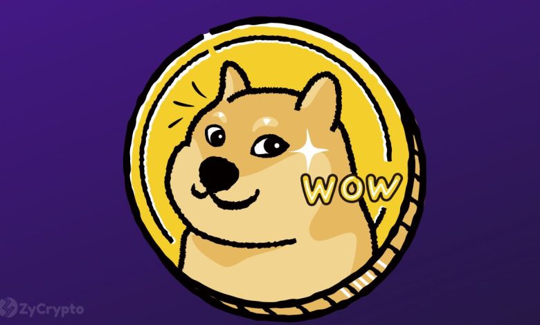 Un analyste crypto présente une projection baissière de 59 % pour Dogecoin, voici plus ⋆ ZyCrypto
