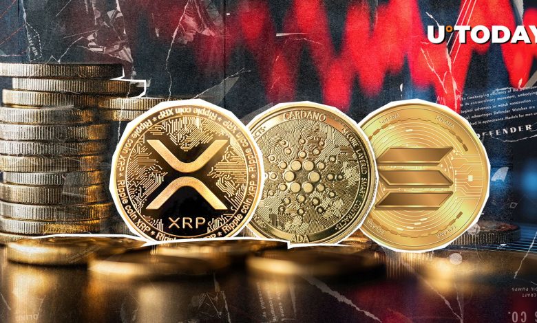 XRP, SOL, ADA en rouge profond alors que le marché crypto connaît une liquidation de 1 078 %