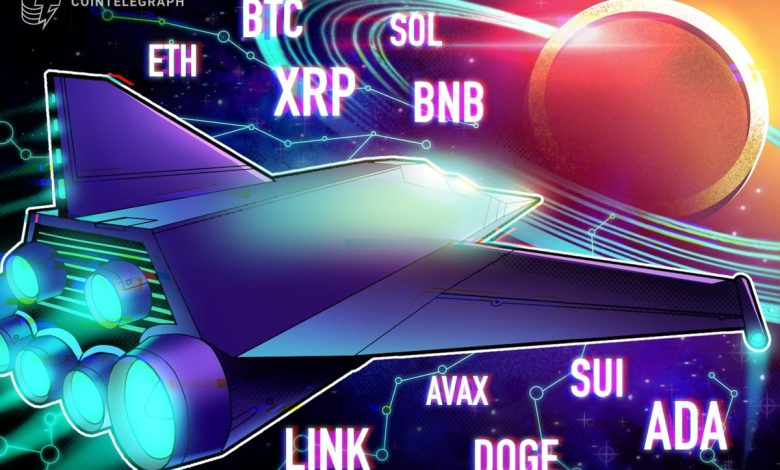 BTC, ETH, XRP, BNB, SOL, DOGE, ADA, SUI, LINK, AVAX