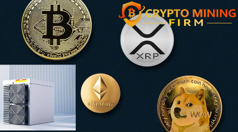 Accès Limité à l'Algorithme de Minage Quantum Générant 5 775 $ de Revenu Quotidien en Bitcoin, Doge, XRP – Formule de Fortune Élitaire XRP, DOGECOIN, BTC