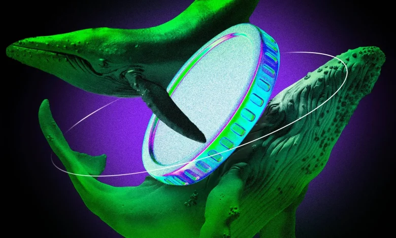 Ce que les baleines de la cryptomonnaie achètent pour juin 2025