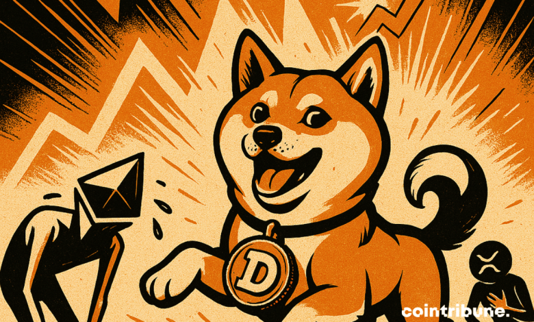Le Dogecoin grimpe de 6 % et dépasse l'Ethereum et le XRP.