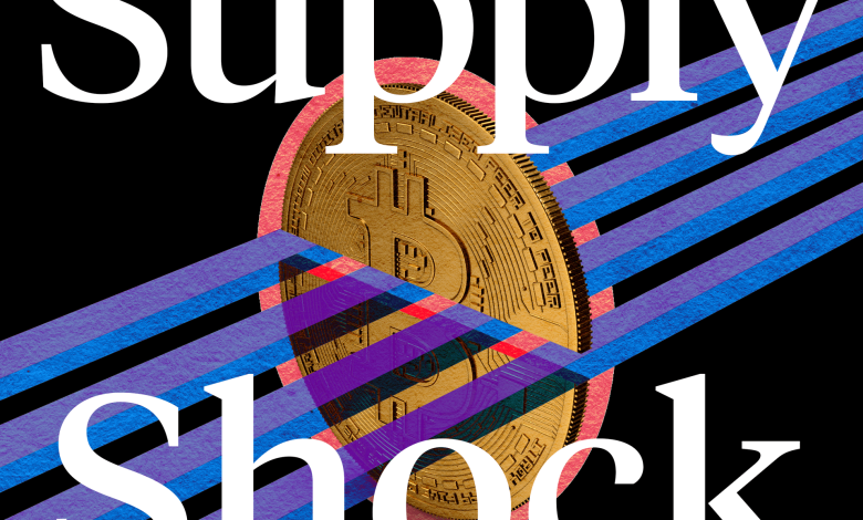 Podcast Supply Shock : La guerre high-tech du Bitcoin : Bâtisseurs vs. Les Filtres