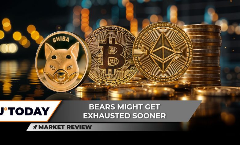 Shiba Inu (SHIB) va-t-il ajouter un zéro ? Bitcoin (BTC) signale un retournement vers un nouveau ATH, tandis qu'Ethereum (ETH) est piégé.