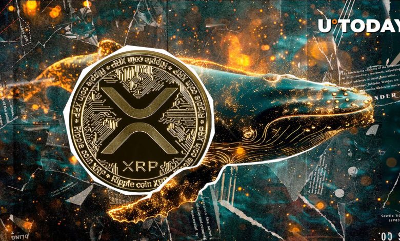 Un transfert de 69,536,183 XRP stupéfie une grande bourse de crypto-monnaies américaine.
