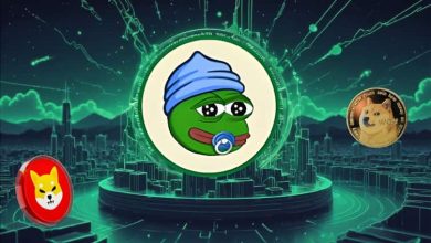 À l'exception de Shiba Inu et Dogecoin, voici les 4 meilleures cryptomonnaies mèmes à détenir en 2025.