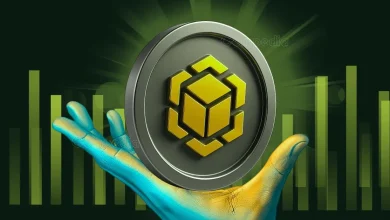 Nano Labs investit 50 millions de dollars dans BNB, vise 1 milliard de dollars de trésorerie.