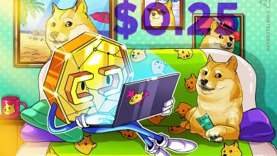 Rallye du DOGE à 0,25 $ possible alors que les memecoins surperforment.